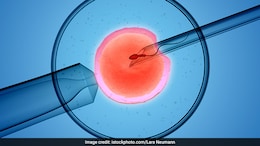 World IVF Day 2024: Lifestyle Tips To Follow When Undergoing An IVF Treatment