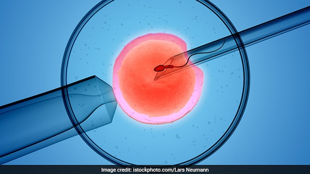 PLT stimulates immune response that fosters a favourable environment for embryo implantation
