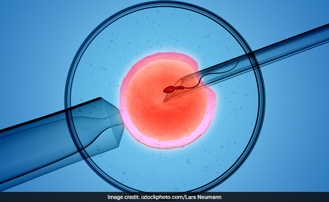 PLT stimulates immune response that fosters a favourable environment for embryo implantation