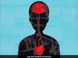 This Electronic Device Could Stop Epileptic Seizures This Electronic Device Could Stop Epileptic Seizures