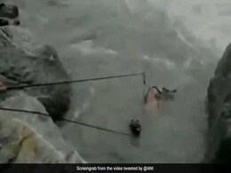 Watch: Officials Rescue Horse Being Swept Away By Fast Flowing River Watch: Officials Rescue Horse Being Swept Away By Fast Flowing River