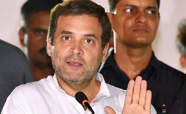 "Married To...": Rahul Gandhi On Queries Around Personal Life