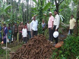 Over 1,000 ''War Rockets'' Of Tipu's Era Found In Karnataka Fort Over 1,000 ''War Rockets'' Of Tipu's Era Found In Karnataka Fort