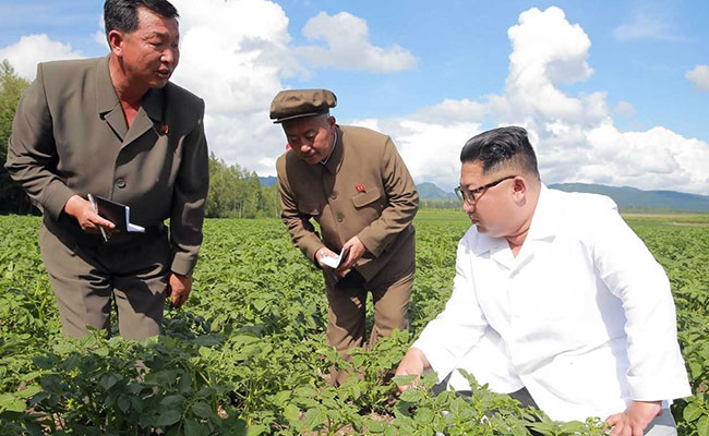 Was Kim Jong Un Too Busy Visiting Potato Farm To Meet Mike Pompeo?