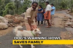 How A Dog Saved A Kerala Family From Devastating Landslide How A Dog Saved A Kerala Family From Devastating Landslide