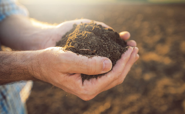 In United States, Soil Erodes 1,000 Times Faster Than It Forms: Study