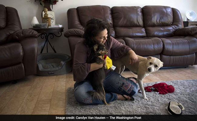 Who Gets The Embryos? Whoever Wants To Make Them Into Babies: New Law