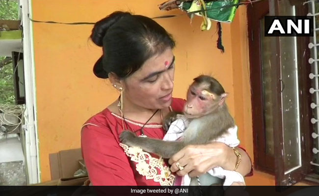 Karnataka Cop Rescues And Adopts Electrocuted Monkey, Wins Hearts