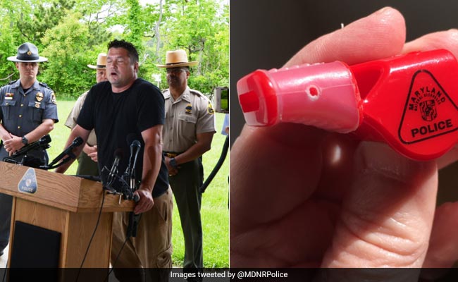 How A Life Jacket And Whistle Saved This Kayaker's Life