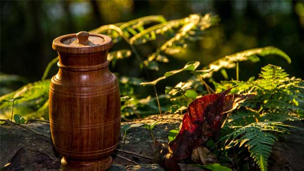 Vijaysar For Diabetes: How To Use This Ayurvedic Herb To Manage Blood Sugar Levels