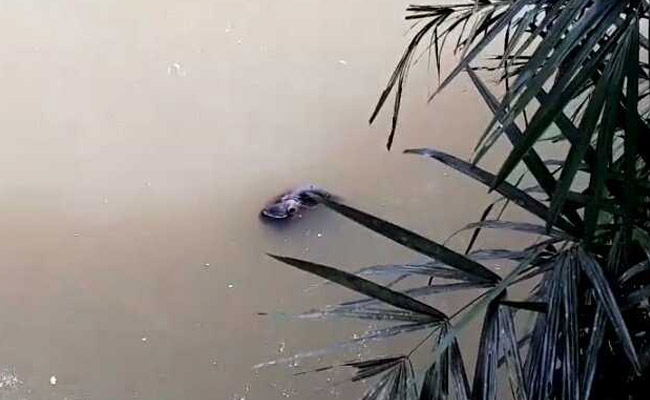 They Defied Their Families To Marry. His Body Was Found In A Kerala Canal