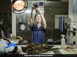 When The Crime Victim Is An Animal, This US Forensics Lab Is On The Case When The Crime Victim Is An Animal, This US Forensics Lab Is On The Case