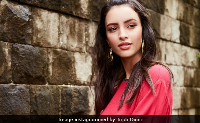 Having Lost Films To 'Established Actors,' Tripti Dimri Was 'Shocked' To Be Cast In <i>Laila Majnu</i>
