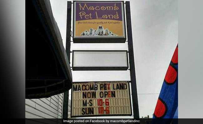 41 Dead Animals Found Inside A 'Closed For Maintenance' Pet Store