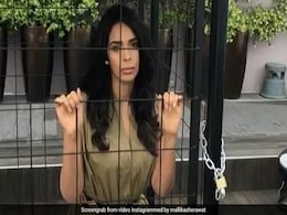 Cannes में पिंजरे में बंद हो गईं मल्लिका शेरावत, फिर बोलीं- सपोर्ट करो... देखें वीडियो Cannes में पिंजरे में बंद हो गईं मल्लिका शेरावत, फिर बोलीं- सपोर्ट करो... देखें वीडियो