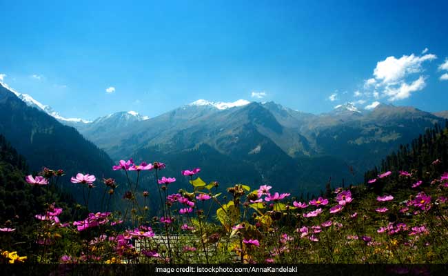 9 Things To Do In Manali For The Best Trip Ever