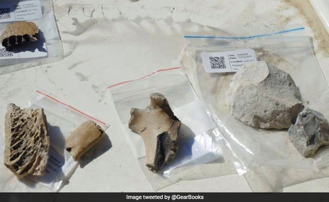 न्यूजीलैंड में मिला 700 साल पुराना गांव, मिलीं कई पुरानी चीजें