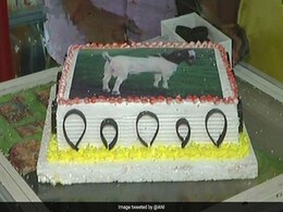 RSS-Linked Muslim Body In UP Cuts Goat-Shaped Cakes To Celebrate Bakrid RSS-Linked Muslim Body In UP Cuts Goat-Shaped Cakes To Celebrate Bakrid