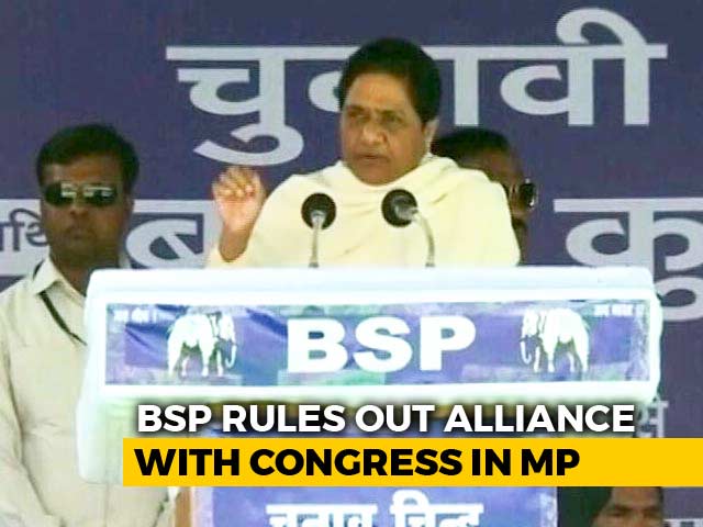 No Talks With Congress, Will Contest All Madhya Pradesh Seats: BSP Leader