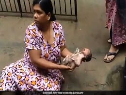 'आजादी' के दिन नाली से आ रही थी चीखने की आवाजें, झांक कर देखा तो आंखें हो गईं नम, Video वायरल 'आजादी' के दिन नाली से आ रही थी चीखने की आवाजें, झांक कर देखा तो आंखें हो गईं नम, Video वायरल