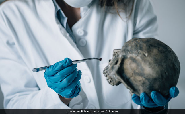 Delhi Lab Providing Forensic Reports Within A Month: Delhi Government