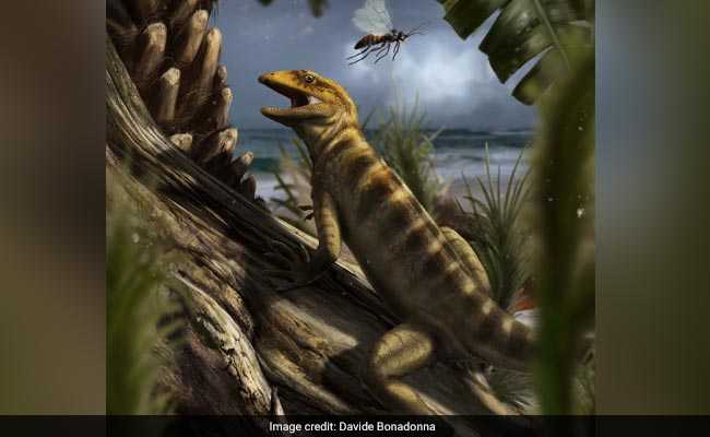 Scientists Finally Find 240-Million-Year-Old 'Mother Of All Lizards'