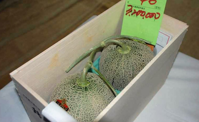 Pair Of Premium Melons Sell For Record 3.2 Million Yen At Japan Auction