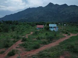 MNREGA के लिए धन की कोई कमी नहीं, प.बंगाल को भुगतान गैर अनुपालन के चलते रोका गया: केंद्र MNREGA के लिए धन की कोई कमी नहीं, प.बंगाल को भुगतान गैर अनुपालन के चलते रोका गया: केंद्र