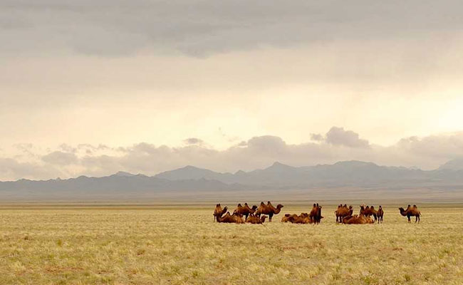 China's 'Belt And Road' May Keep Paris Climate Goals Out Of Reach: Report