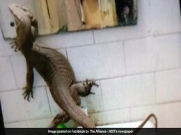 गर्ल्स हॉस्टल के बाथरूम में मिली ऐसी चीज, देखकर चीख पड़ीं लड़कियां गर्ल्स हॉस्टल के बाथरूम में मिली ऐसी चीज, देखकर चीख पड़ीं लड़कियां