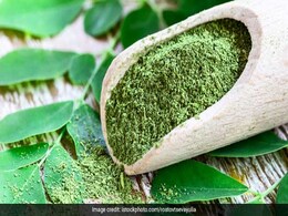 What Are Benefits Of Eating Drumstick: सहजन की पत्तियां खाने के 5 बेमिसाल फायदे What Are Benefits Of Eating Drumstick: सहजन की पत्तियां खाने के 5 बेमिसाल फायदे