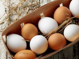 Salmonella Outbreak Linked To Eggs Sickens 98 People Across United States