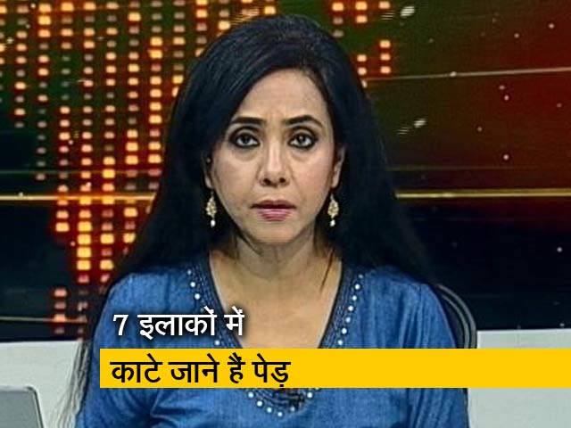 रणनीति इंट्रो: पेड़ कटाई के खिलाफ आंदोलन