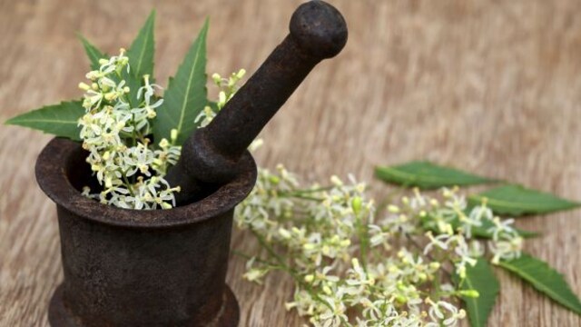 Skincare: Neem leaves are loaded with antibacterial properties that can help prevent acne