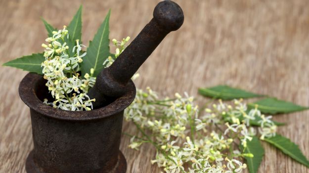 Skincare: Neem leaves are loaded with antibacterial properties that can help prevent acne