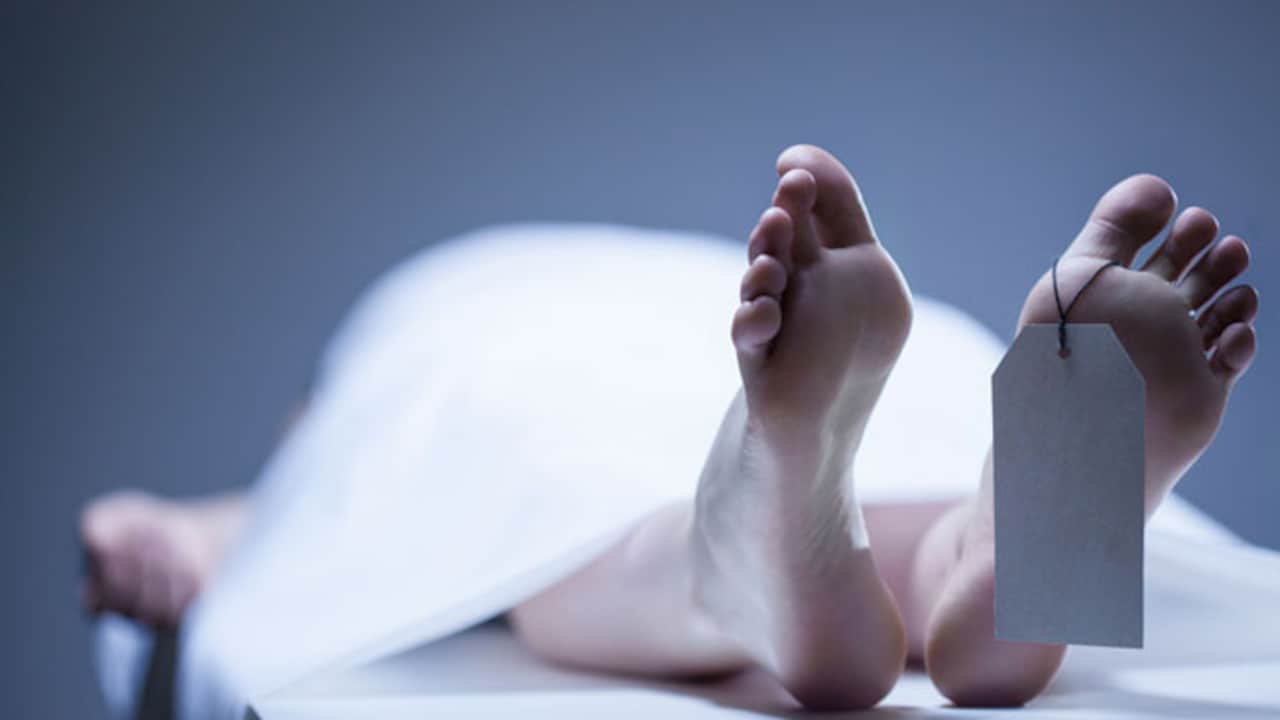 UK Man Kept Dead Mother In Freezer For 3 Years, Claimed Nearly Rs 1 Crore In Benefits