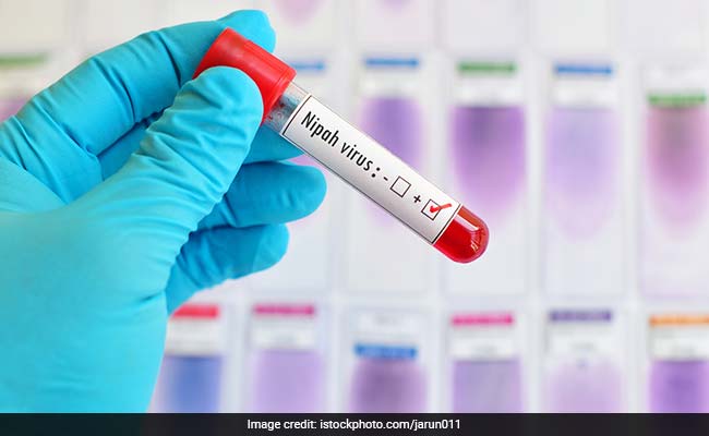Nipah Alarm In Kerala, 5 Samples Sent To Top Virology Institute In Pune