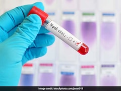 What Is Nipah Virus? Is It Similar To Covid-19? Explained