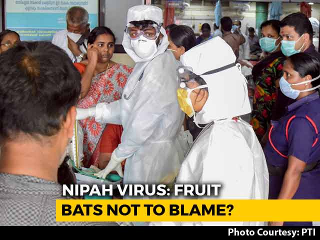 Nipah Virus That Killed 12 In Kerala May Not Be Linked To Bats