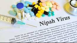 Kerala Reports Second Suspected Nipah Virus Death, 543 Under Surveillance