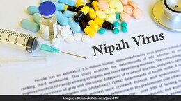 Kerala On Alert After Nipah Virus Cases: Know Causes, Symptoms And Treatment