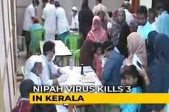 3 Dead From Mysterious Nipah Virus In Kerala, Centre Sends Team 3 Dead From Mysterious Nipah Virus In Kerala, Centre Sends Team