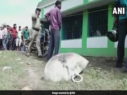 1 Dead, 5 Injured In Blast At Trinamool Office In Bengal 1 Dead, 5 Injured In Blast At Trinamool Office In Bengal