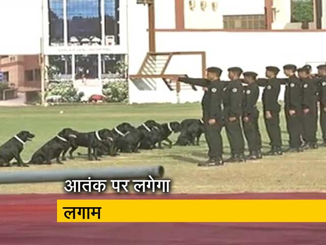 इंडिया 7 बजे : जम्मू कश्मीर में आतंकी से निपटेंगे NSG कमांडो