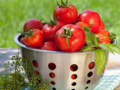 How To Peel Tomatoes: 5 Amazing Tomato Recipes You Can Try How To Peel Tomatoes: 5 Amazing Tomato Recipes You Can Try