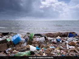 414 Million Plastic Pieces Found On "Australia's Last Unspoilt Paradise" 414 Million Plastic Pieces Found On "Australia's Last Unspoilt Paradise"
