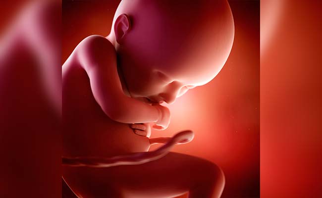 Days After US Doctor Dies, Over 2,000 Fetal Remains Found On His Property