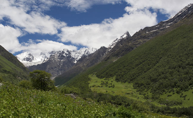 No Nightstay At Meadows In Uttarakhand, Rules High Court