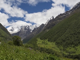 No Nightstay At Meadows In Uttarakhand, Rules High Court No Nightstay At Meadows In Uttarakhand, Rules High Court