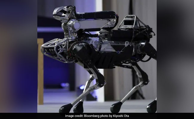 This Firm Is Building Robot Dogs For Purchase Starting In 2019